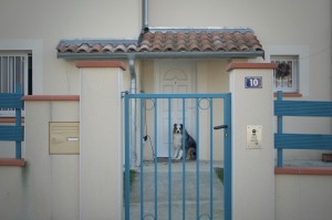 DSCF8743