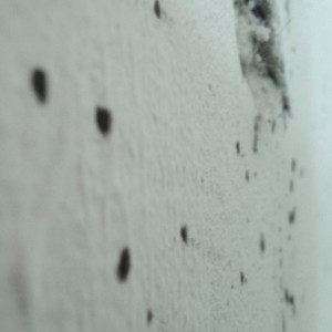 mur 5