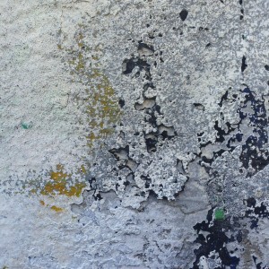 mur9